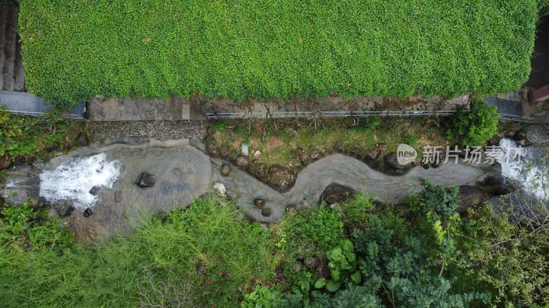 广东东莞：银瓶山树林溪涧流水潺潺