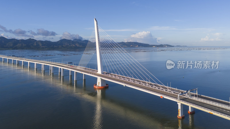 深圳湾公路大桥