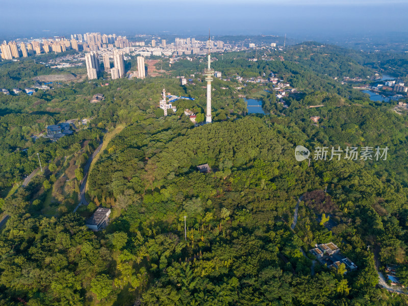 自贡植物园电视塔航拍图