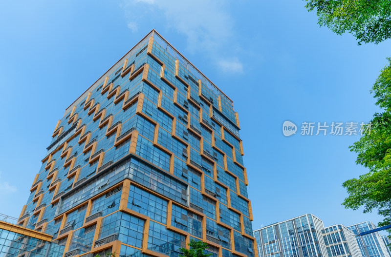 广州番禺南村万博城市摩天大楼现代建筑