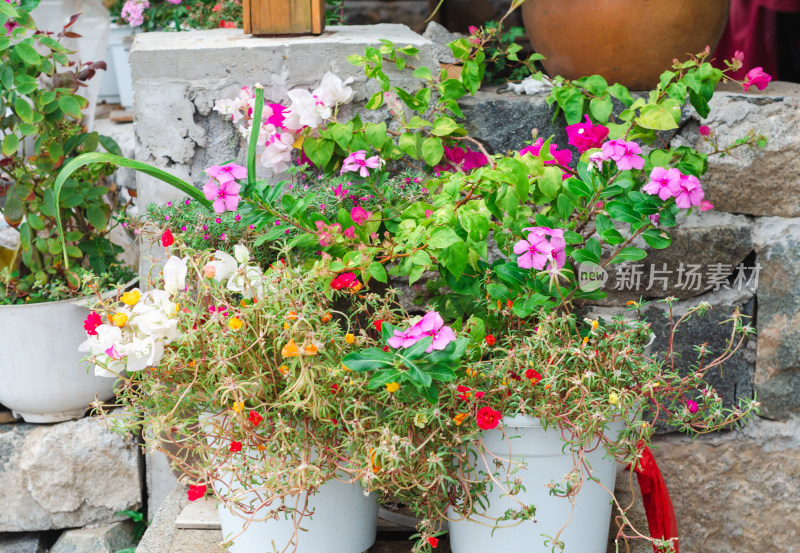 福建省福州平潭岛北港村的路边花盆