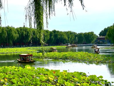 夏季北京东城区北海公园河边