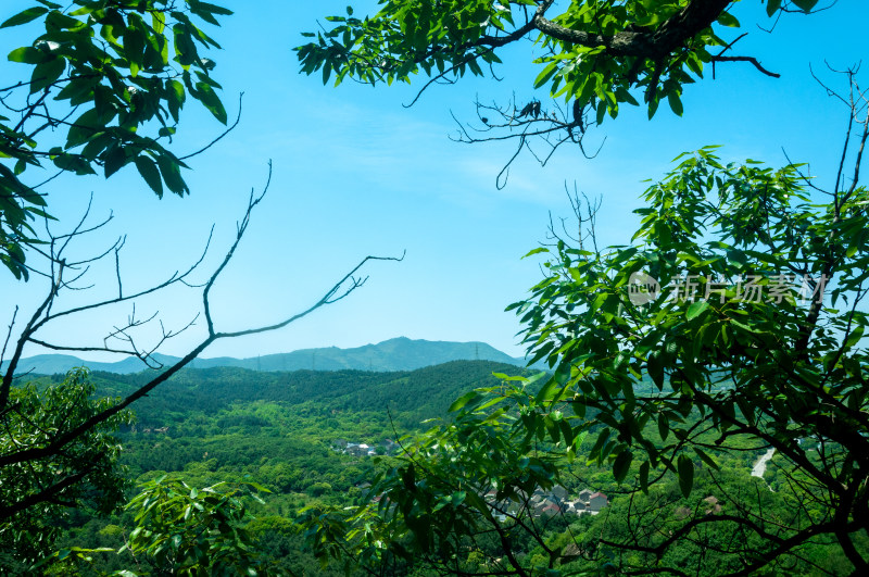 山中的自然风景