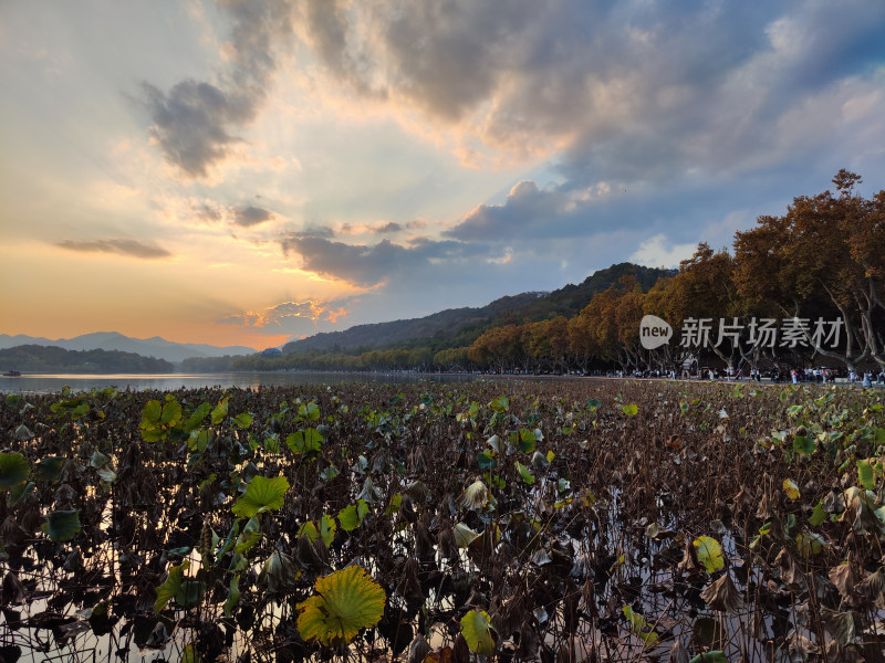 杭州西湖断桥湖畔黄昏夕阳下的景色