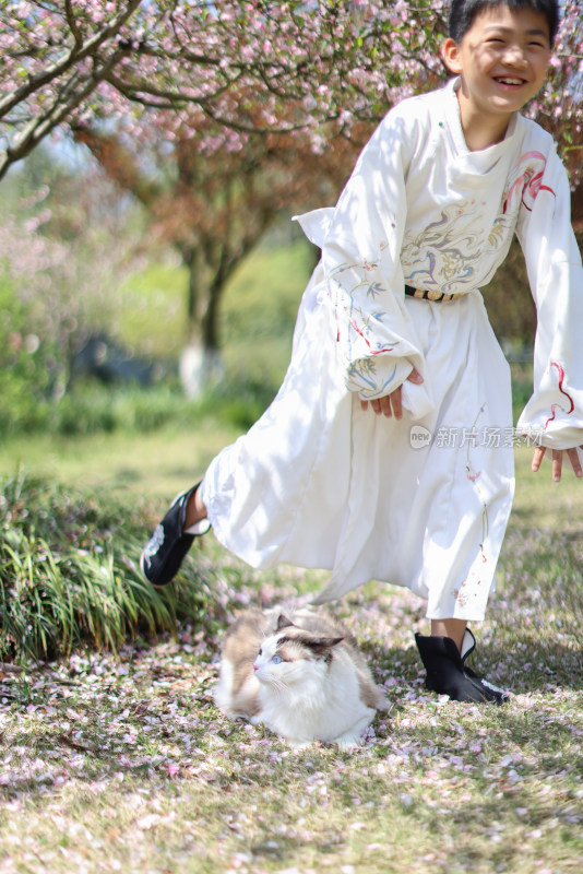 穿着汉服的小男孩和宠物布偶猫 赏花 海棠花