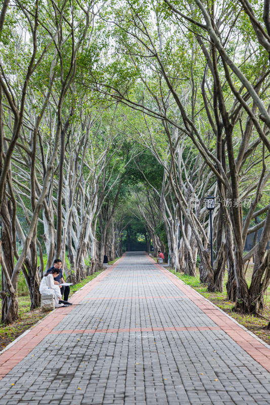 深圳市石岩湿地公园