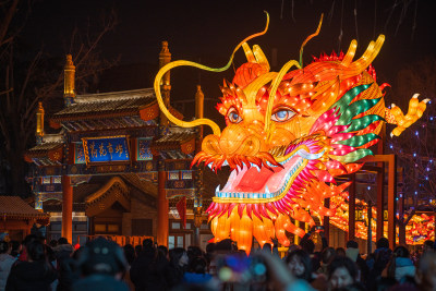 龙形状的春节花灯 北京什刹海荷花市场