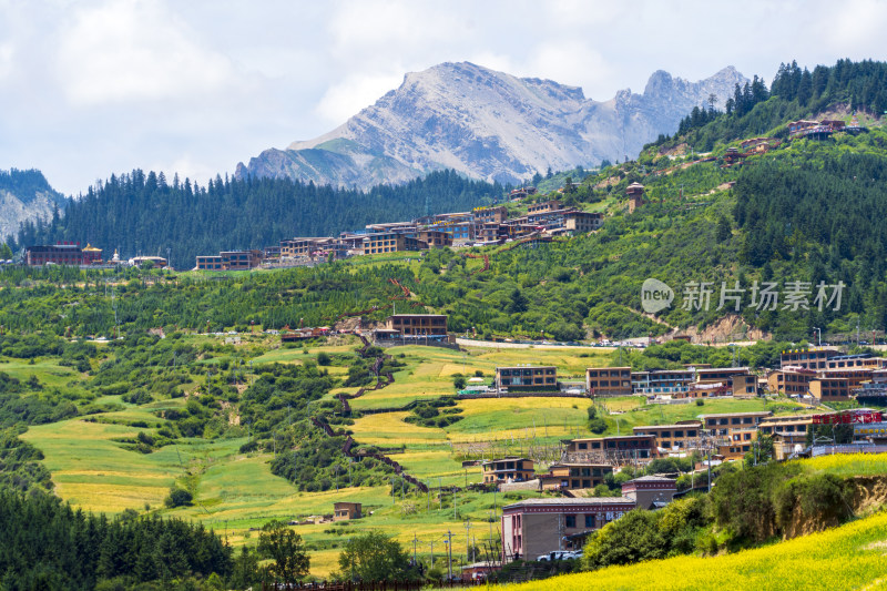 甘南扎尕那风光