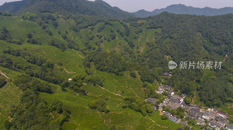 航拍杭州西湖龙井茶园 十里琅珰 龙井问茶