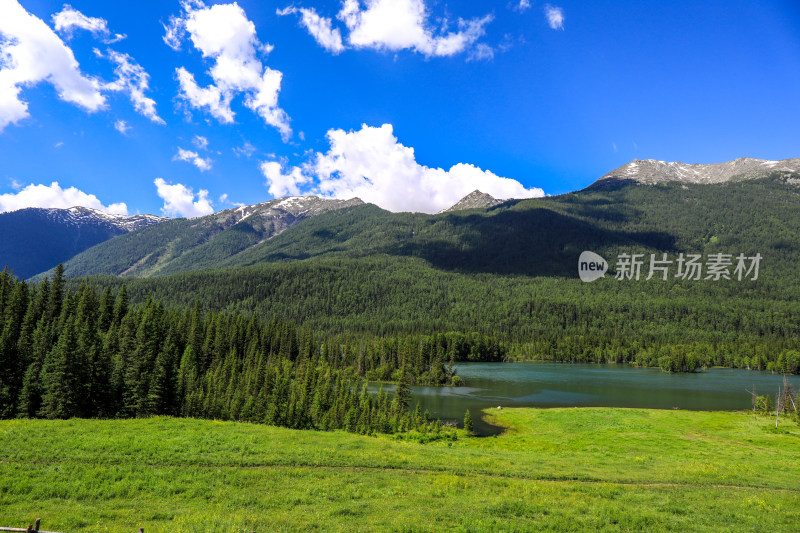 新疆阿勒泰地区喀纳斯森林草原自然风景