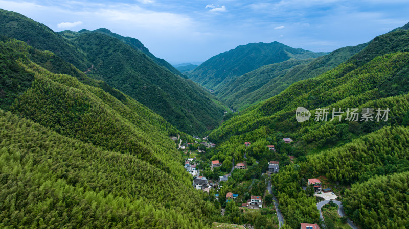 航拍浙北大峡谷山间竹林风光