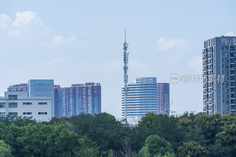 武汉蔡甸汤湖公园生态园林风景