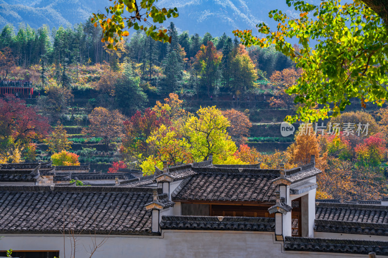 皖南秋色塔川国家森林公园