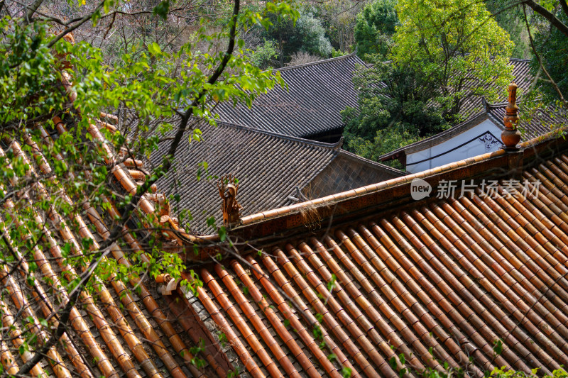 玉溪九龙池古建筑群景观