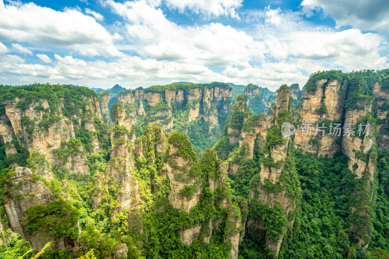 中国湖南张家界景区奇特山峰与茂密森林