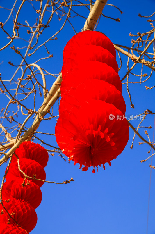 中国年味春节庙会灯笼红红火火