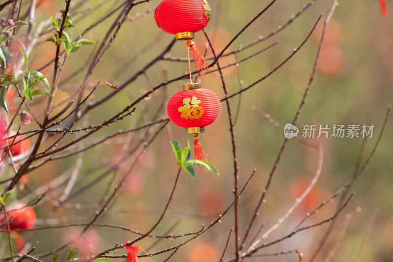 春节新年树挂着一排排红色的小灯笼