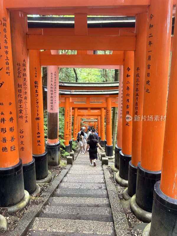 日本伏见稻荷神社红色鸟居下有人行走的小径