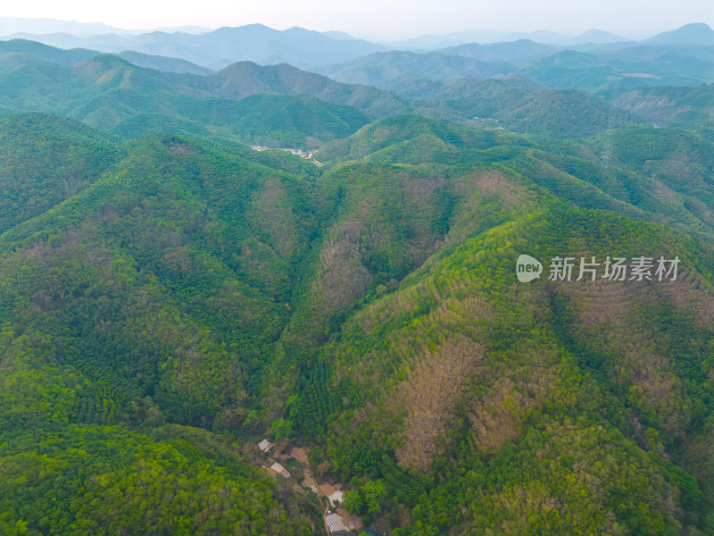 航拍山脉山林