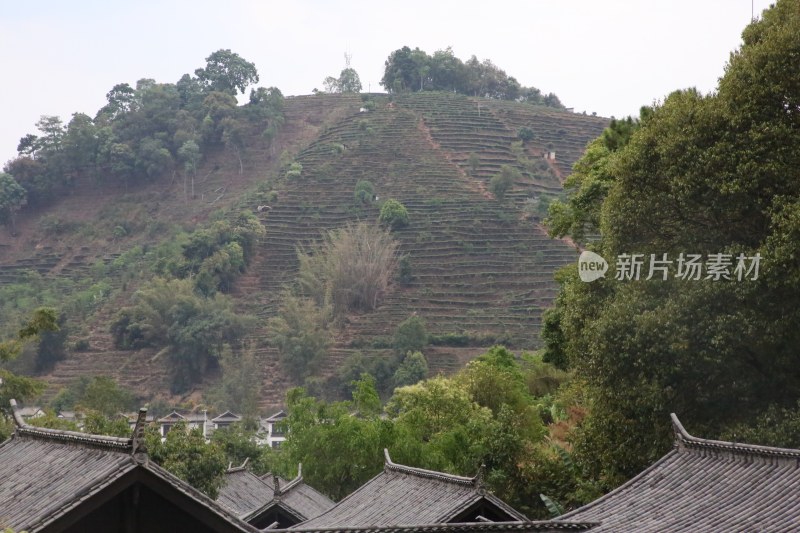 普洱市茶马古镇风景照片