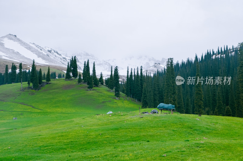 新疆伊犁那拉提雪山下草原上的小木屋