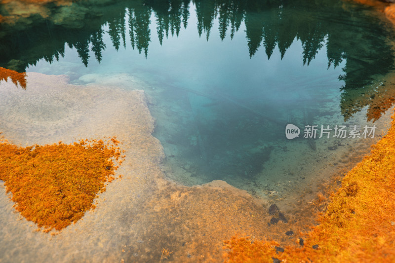 秋色湖泊与松林