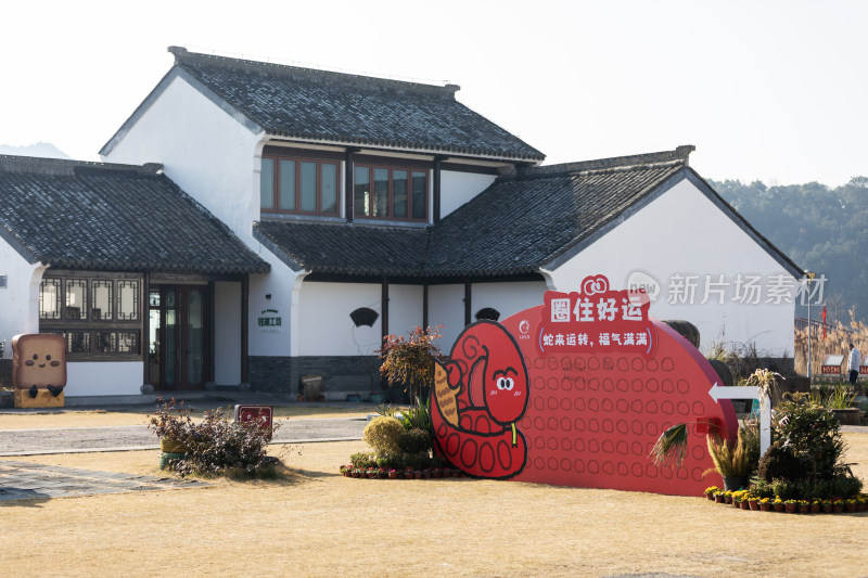 宁波东钱湖下水湿地钱湖秘境冬天景色