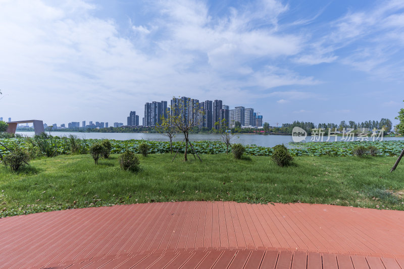 武汉江夏区汤逊湖壹号湿地公园风景