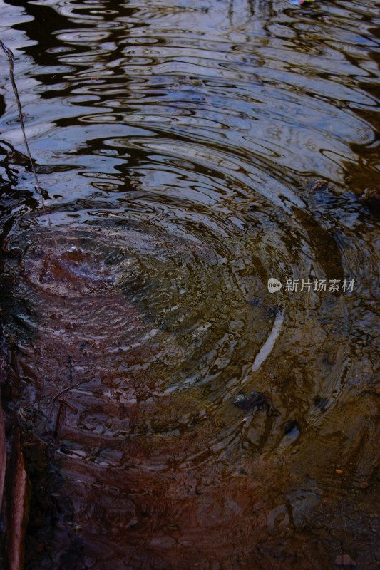 水面涟漪特写