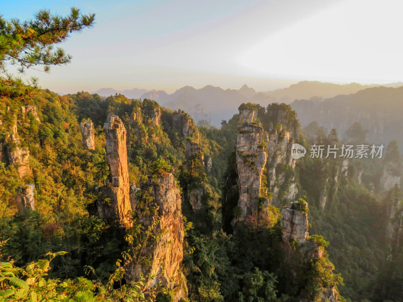 中国湖南张家界国家森林公园旅游风光