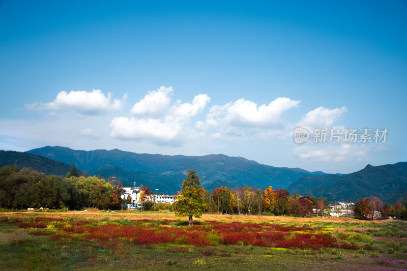 安徽宏村自然风景