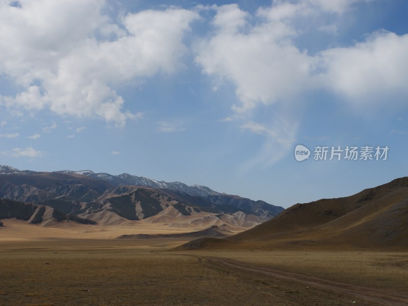 晴天高原草地山脉