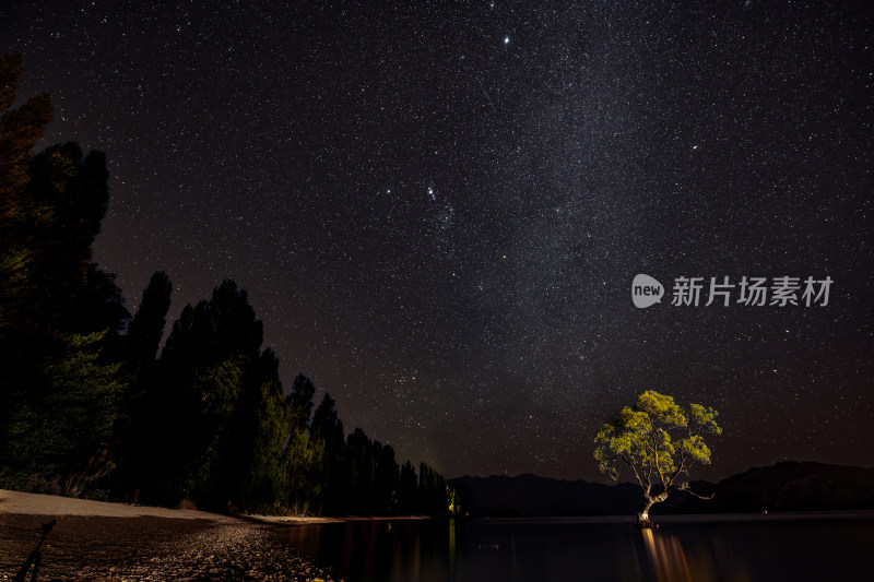 新西兰瓦纳卡孤独的树银河
