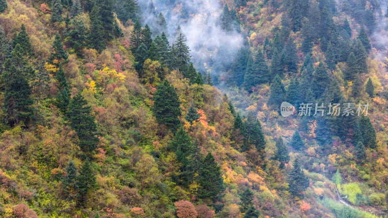 阿坝州黄龙风景名胜区秋色