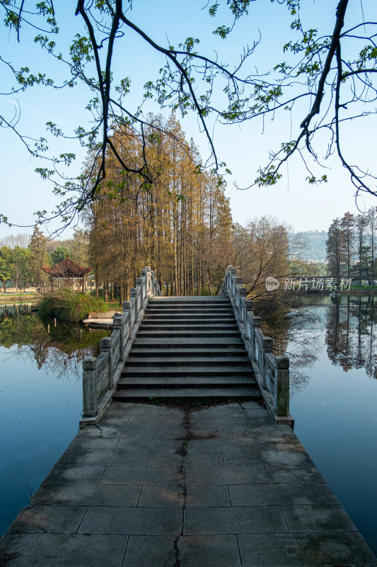 水上石桥步道的自然风光全景