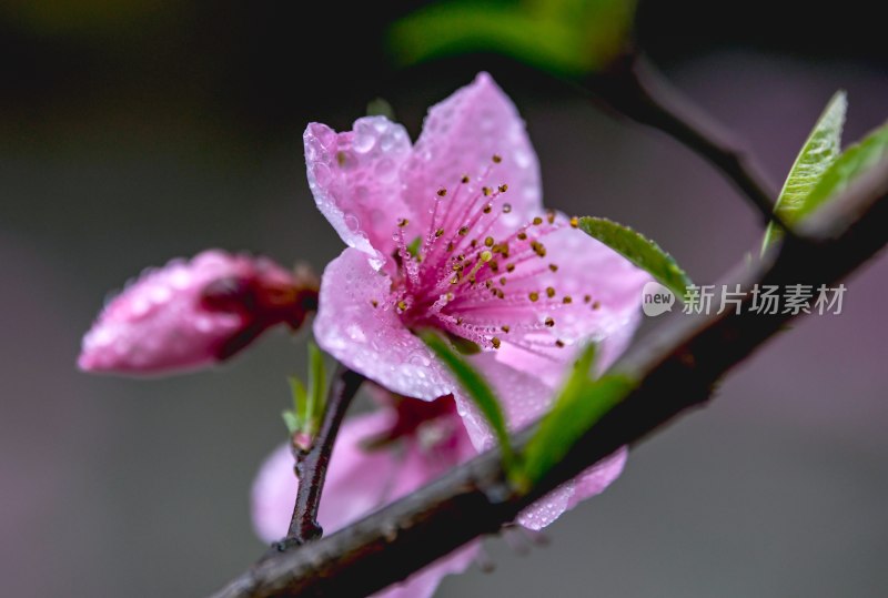 重庆酉阳：后坪风光惹人醉