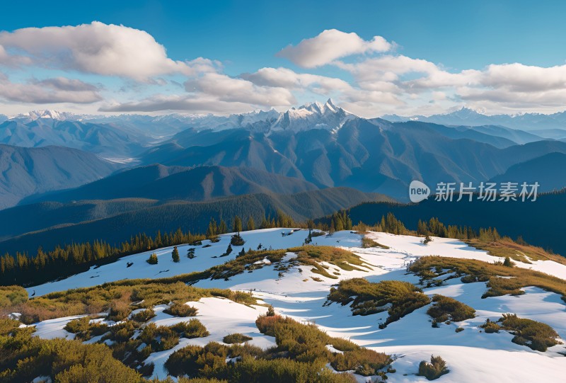 雪山高原草原森林风景