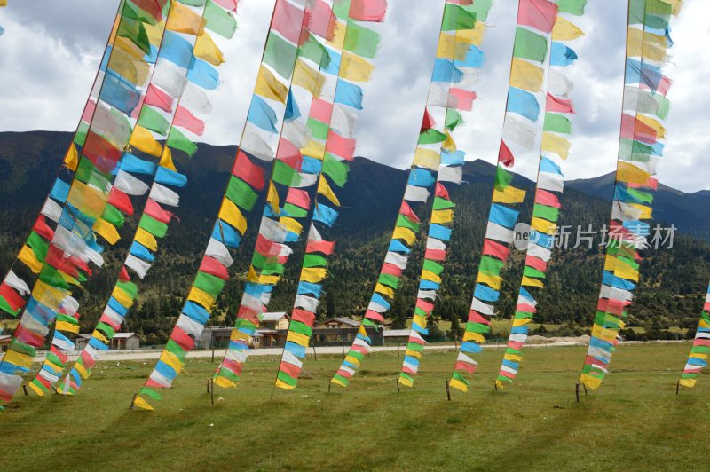 林芝鲁朗风景区风景