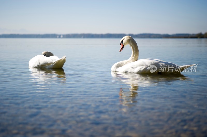 德国慕尼黑周边基姆湖(Chiemsee)