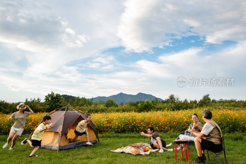 欢乐家庭在郊外野餐