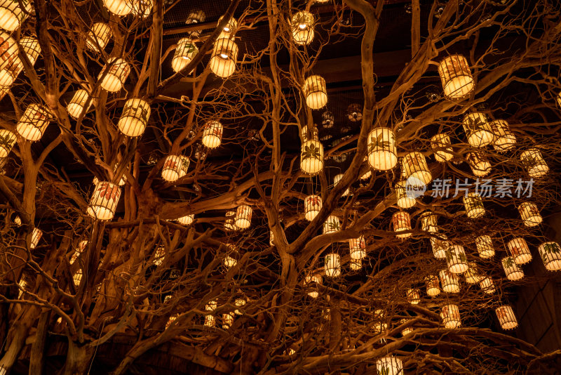 新年庙会灯会花灯