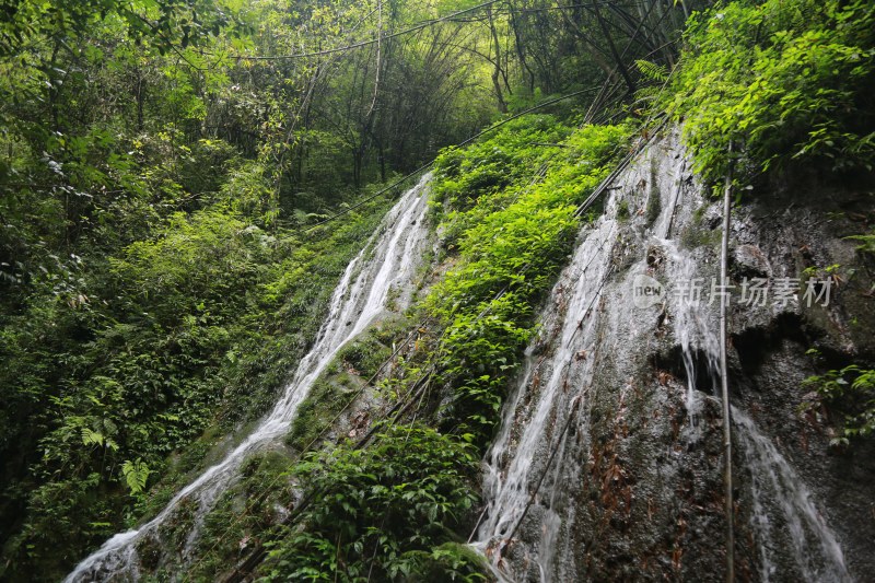 重庆仙女山景区风光