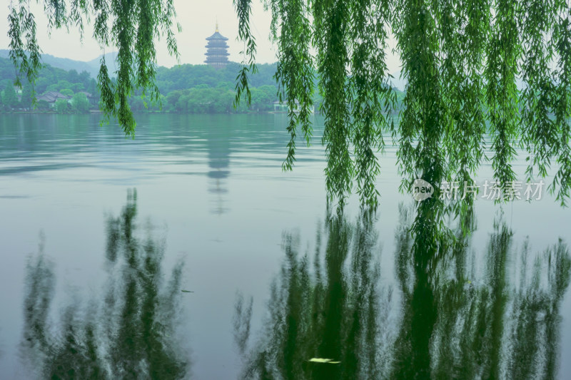 晨雾弥漫的西湖景区