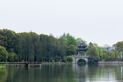 春天的无锡蠡湖国家湿地公园