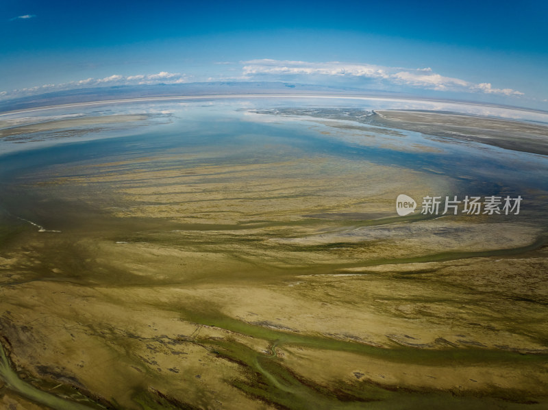 新疆艾比湖湿地