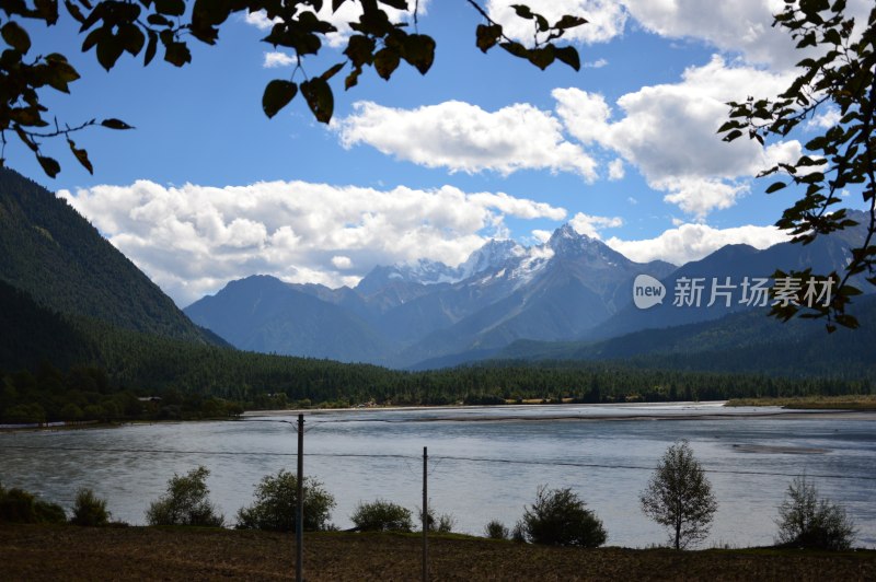 高原上的雪上绿树