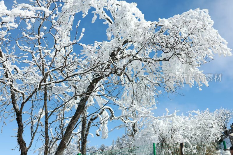 冰雪雾凇