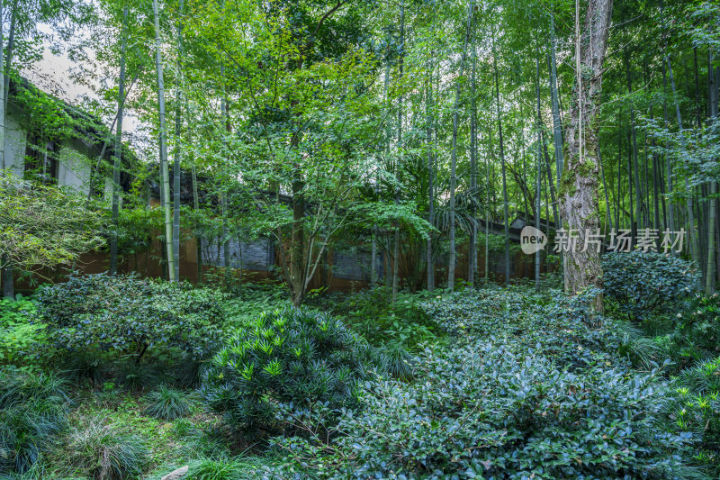 杭州飞来峰永福寺古建筑风光