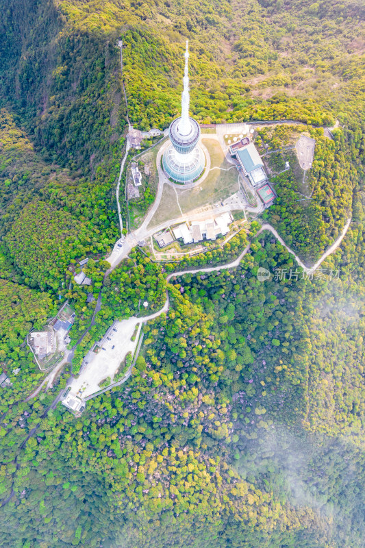 深圳梧桐山