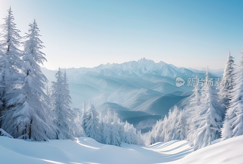 冬季森林白雪覆盖风景